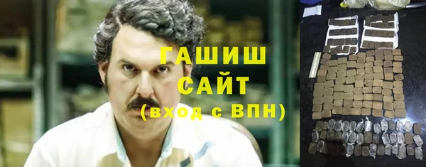 сатива Кулебаки