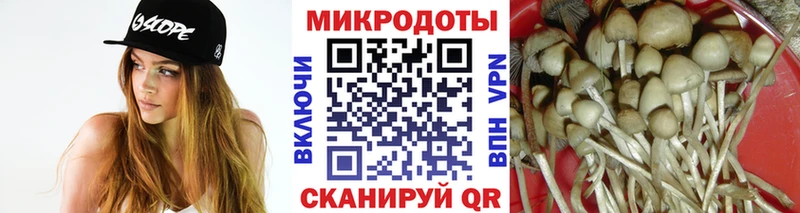 Галлюциногенные грибы Magic Shrooms  Купить закладки  Чулым 